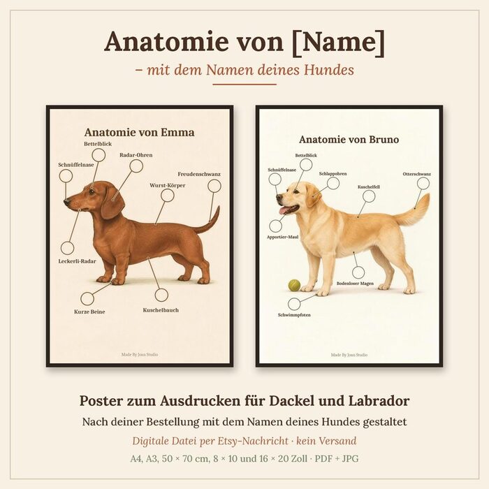 Anatomie-Poster mit Hundenamen
