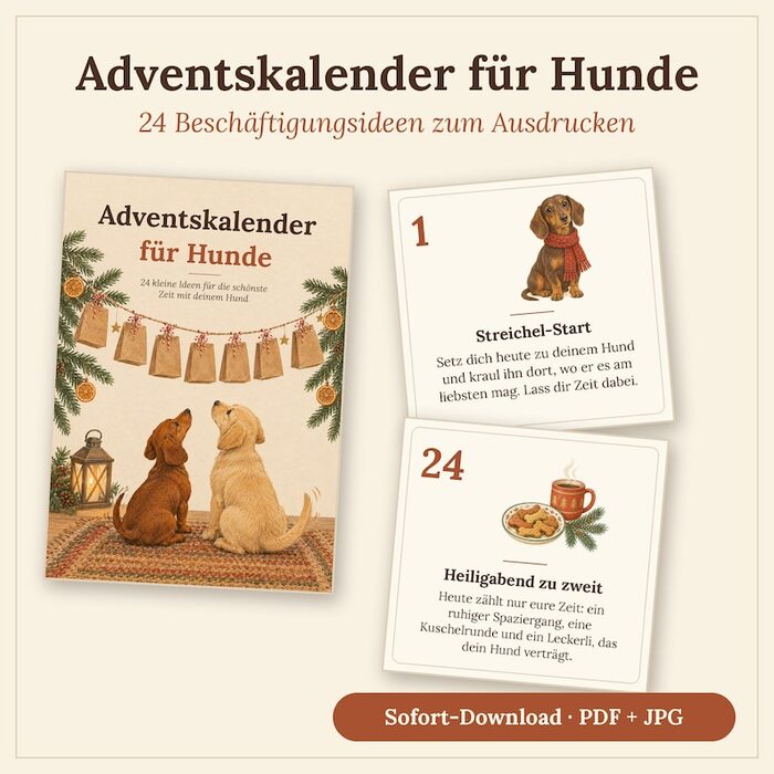 Adventskalender für Hunde